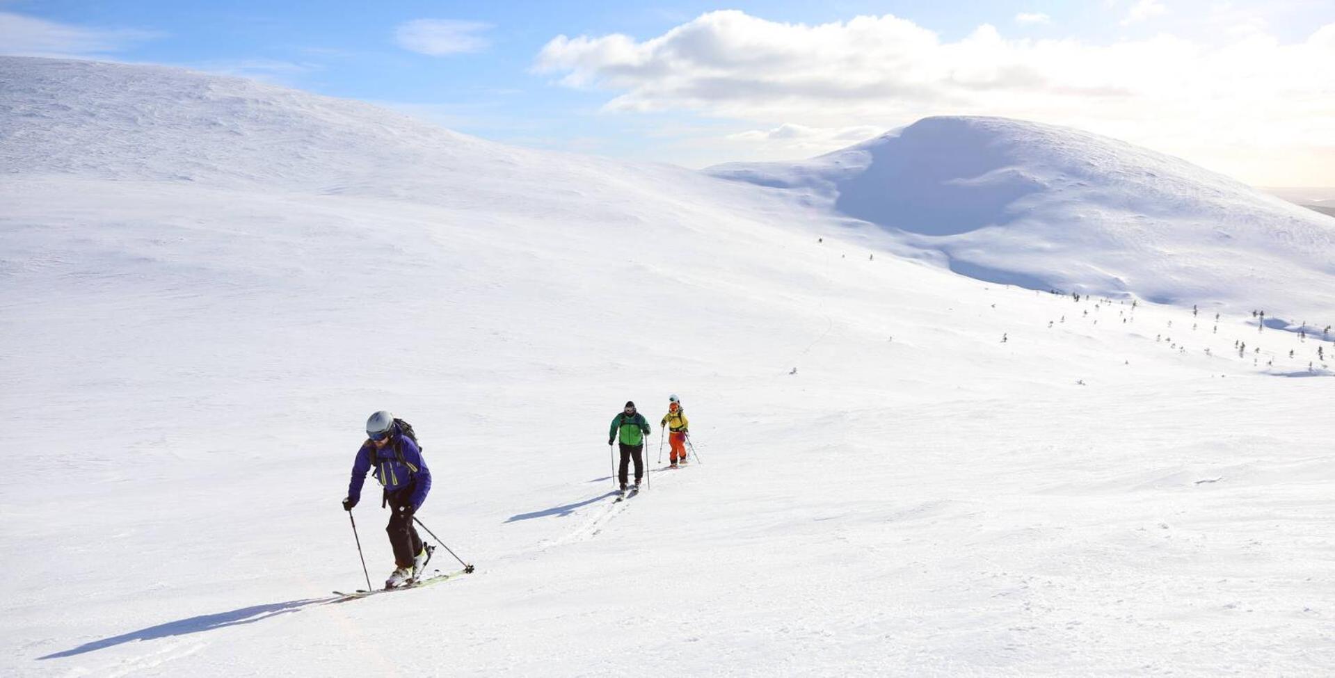 Lapland Hotels Pallas パラストゥントゥリ エクステリア 写真