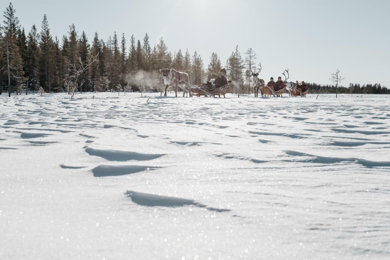 Lapland Hotels Pallas パラストゥントゥリ エクステリア 写真